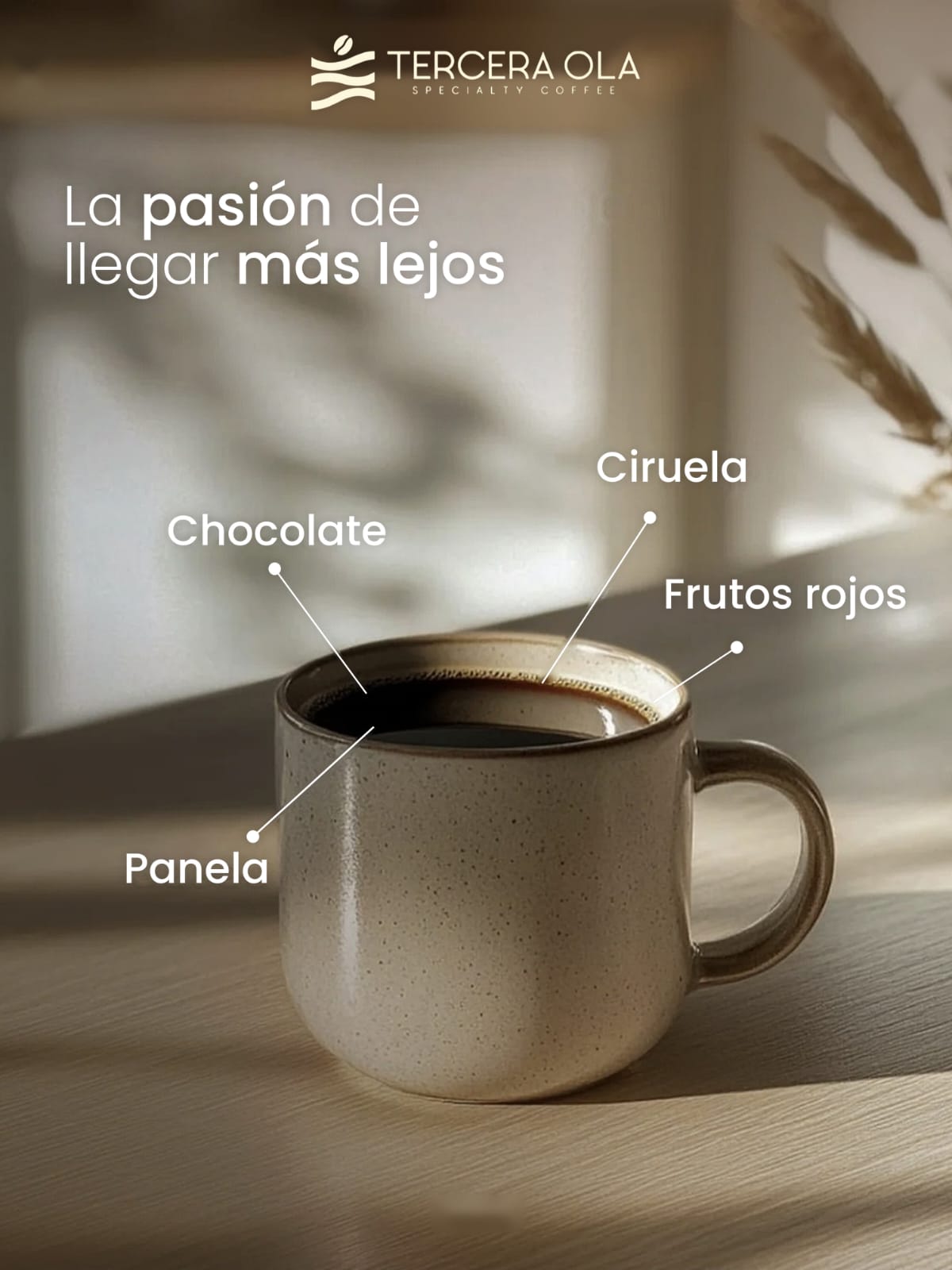 Paúl | Bourbon Rojo | Panela • Ciruela • Chocolate