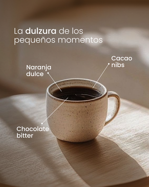 Olivia | Caturra - Pache | Naranja • Cacao • Chocolate bitter